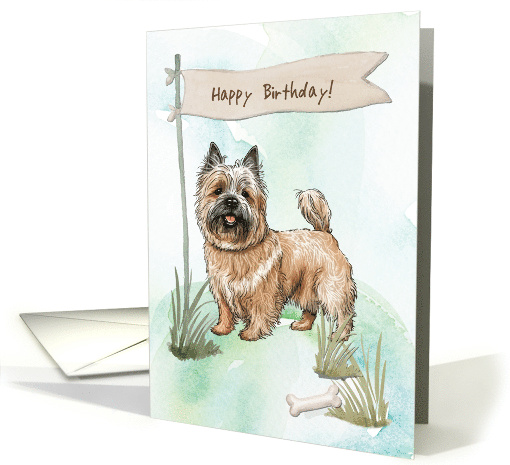 Cairn Terrier Breed Dog Outdoors Under Birthday Sign card (1917194)