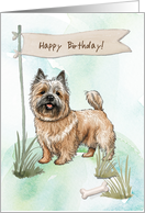 Cairn Terrier Breed Dog Outdoors Under Birthday Sign card