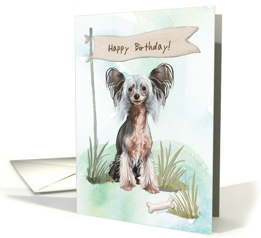 Chinese Crested Breed Dog Outdoors Under Birthday Sign card (1917204)