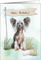 Chinese Crested Breed Dog Outdoors Under Birthday Sign card
