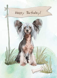 Chinese Crested Breed Dog Outdoors Under Birthday Sign