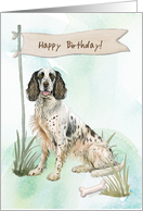 English Setter Dog Outdoors Under Birthday Sign card