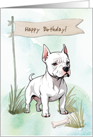 Dogo Argentino Dog Outdoors Under Birthday Sign card