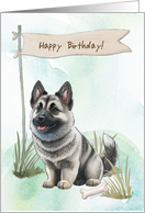Elkhound Dog Outdoors Under Birthday Sign card