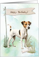 Smooth Fox Terrier Breed Dog Outside Under Birthday Sign card