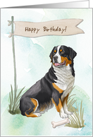Greater Swiss Mountain Dog Outdoors Under Birthday Sign card