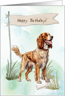 Harrier Breed Dog Outdoors Under Birthday Sign card