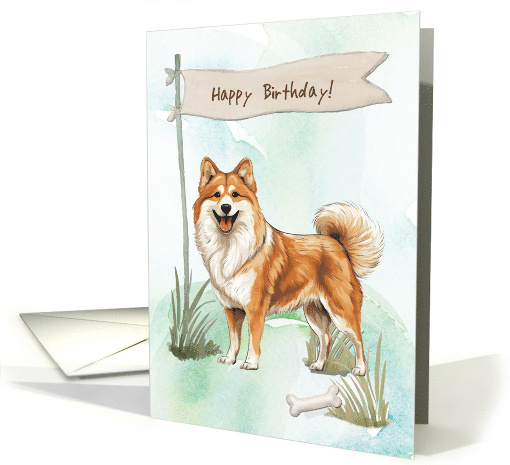 Icelandic Sheepdog Outdoors Under Birthday Sign card (1917762)