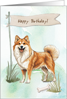 Icelandic Sheepdog Outdoors Under Birthday Sign card
