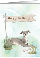 Italian Greyhound Dog Breed Outdoors Under Birthday Sign card
