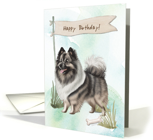 Keeshond Dog Breed Outdoors Under Birthday Sign card (1917888)