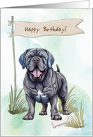 Neapolitan Mastiff Dog Breed Outdoors Under Birthday Sign card