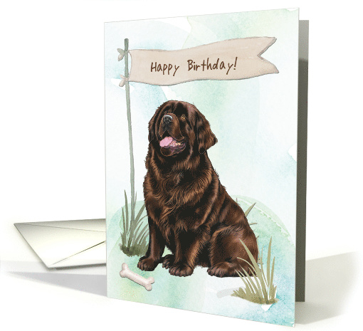 Newfoundland Dog Breed Outdoors Under Birthday Sign card (1917914)