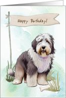 Old English Sheepdog Dog Breed Outdoors Under Birthday Sign card