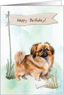 PekingeseDog Breed Outdoors Under Birthday Sign card