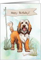 Petit Bassett Griffon Vendeen Dog Outdoors Under Birthday Sign card