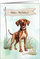 Plott Dog Breed Outdoors Under Birthday Sign card