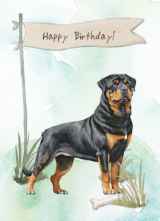 Rottweiler Dog Breed...