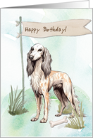 Saluki Dog Breed Outdoors Under Birthday Sign card