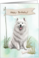 Samoyed Dog Breed Outdoors Under Birthday Sign card