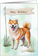 Shiba Inu Dog Breed Outdoors Under Birthday Sign card