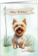 Silky Terrier Dog Breed Outdoors Under Birthday Sign card