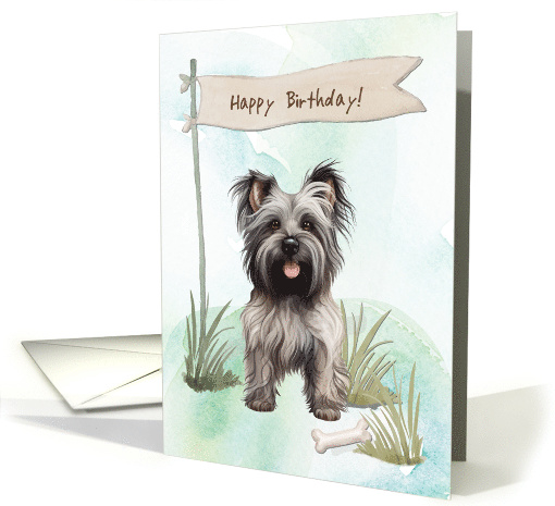Skye Terrier Dog Breed Outdoors Under Birthday Sign card (1918006)