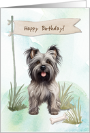 Skye Terrier Dog Breed Outdoors Under Birthday Sign card
