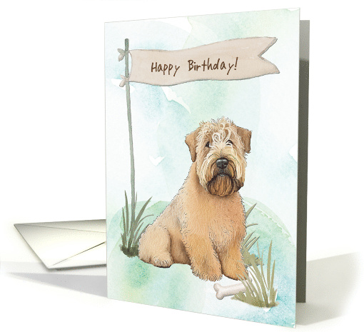 Soft Coated Wheaten Terrier Dog Breed Outdoors Under... (1918008)