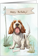Spinone Italiano Dog Breed Outdoors Under Birthday Sign card