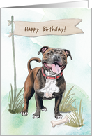 Staffordshire Bull Terrier Dog Breed Outdoors Under Birthday Sign card