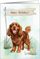 Sussex Spaniel Dog Breed Outdoors Under Birthday Sign card