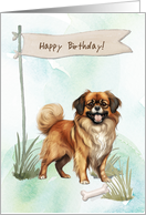 Tibetan Spaniel Dog Breed Outdoors Under Birthday Sign card
