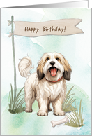 Tibetan Terrier Dog Breed Outdoors Under Birthday Sign card