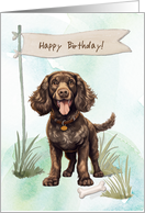 American Water Spaniel Dog Breed Outdoors Under Birthday Sign card