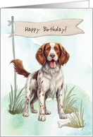 Welsh Springer Spaniel Dog Breed Outdoors Under Birthday Sign card