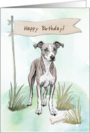 Whippet Dog Breed Outdoors Under Birthday Sign card