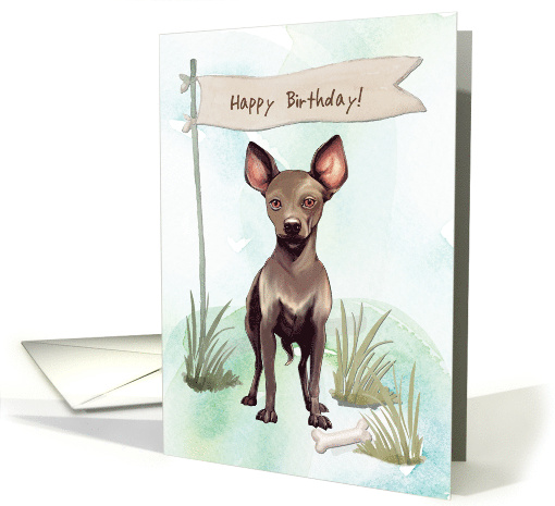 Xolaitzcuintli Dog Breed Outdoors Under Birthday Sign card (1918062)