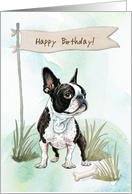 Boston Terrier Dog Outdoors Under Birthday Sign card