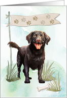 Curly Coated Retriever Dog Any Occasion Blank Inside card