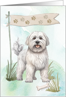 Dandie Dinmont Terrier Dog Any Occasion Blank Inside card