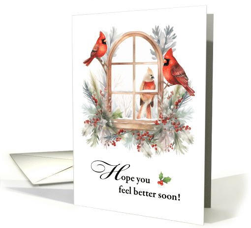 Get Well Cardinal Birds in Winter Window card (1946780)
