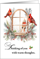Thinking of You Cardinal Birds in Winter Window card