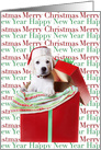 Christmas Puppy Popping Up Out of a Gift Box card