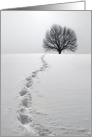 Any Occasion Blank Note Winter Scene with Footprints Leading to a Tree card