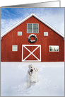 Christmas Barn Snow Scene with Beautiful Labrador Retriever card