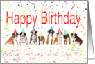 Happy Birthday from the Gang-Boxer Puppies card