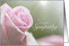 With Deepest Sympathy Pink Rose with Heavenly Rays card