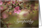With Deepest Sympathy Cherry Blossoms card
