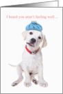 Get Well Soon Cute Labrador Puppy with Ice Bag card